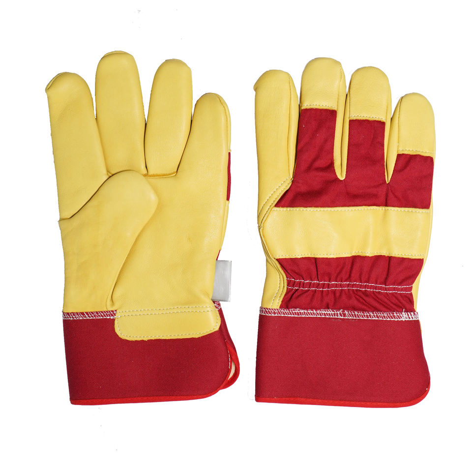 Canvas Gloves